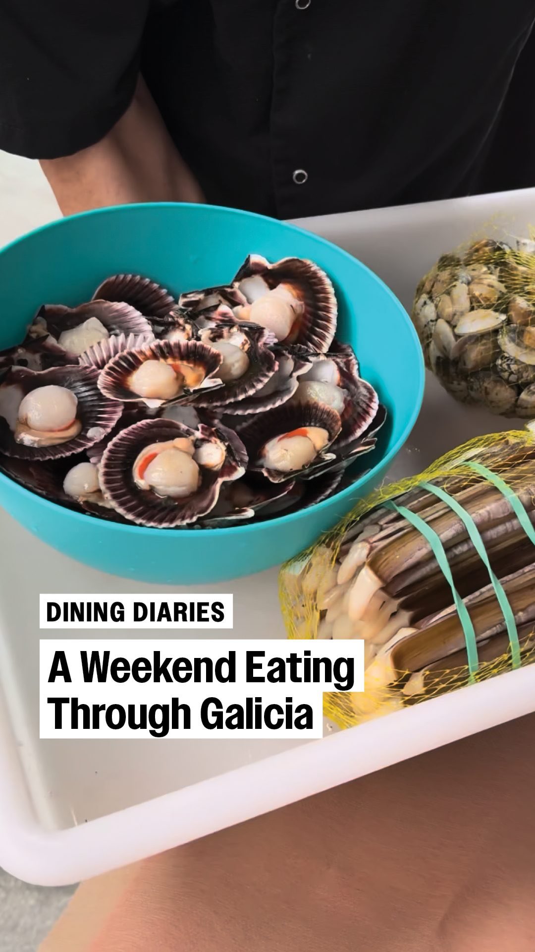 Galician Seafood Adventures: Clams, Lobsters, and More