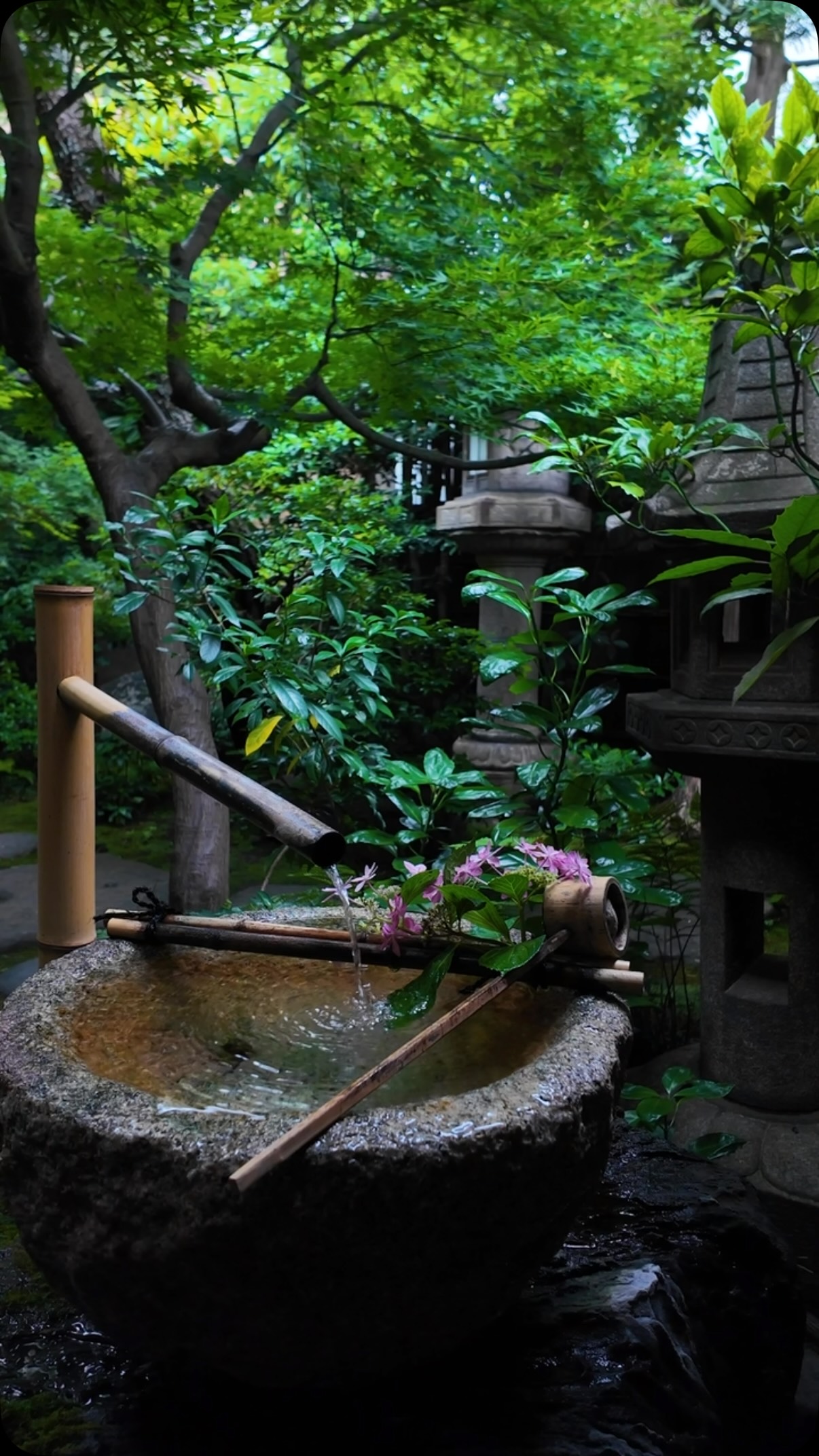 3 Cafes in Japan