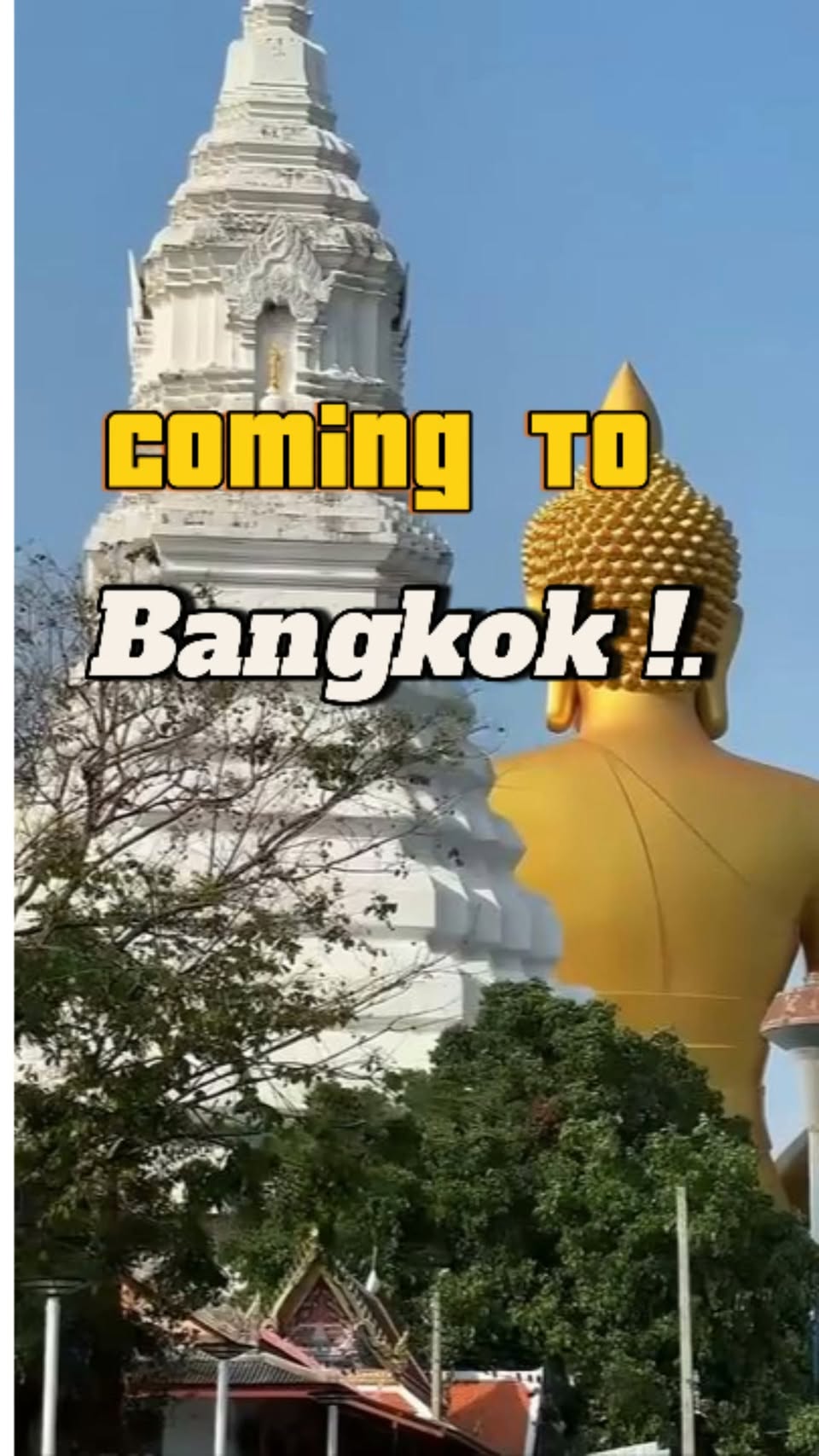 Bangkok's Flower Market, Green Oasis, and Temple