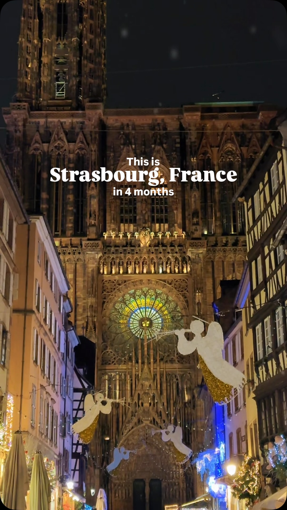 Strasbourg's Christmas Capital Charm