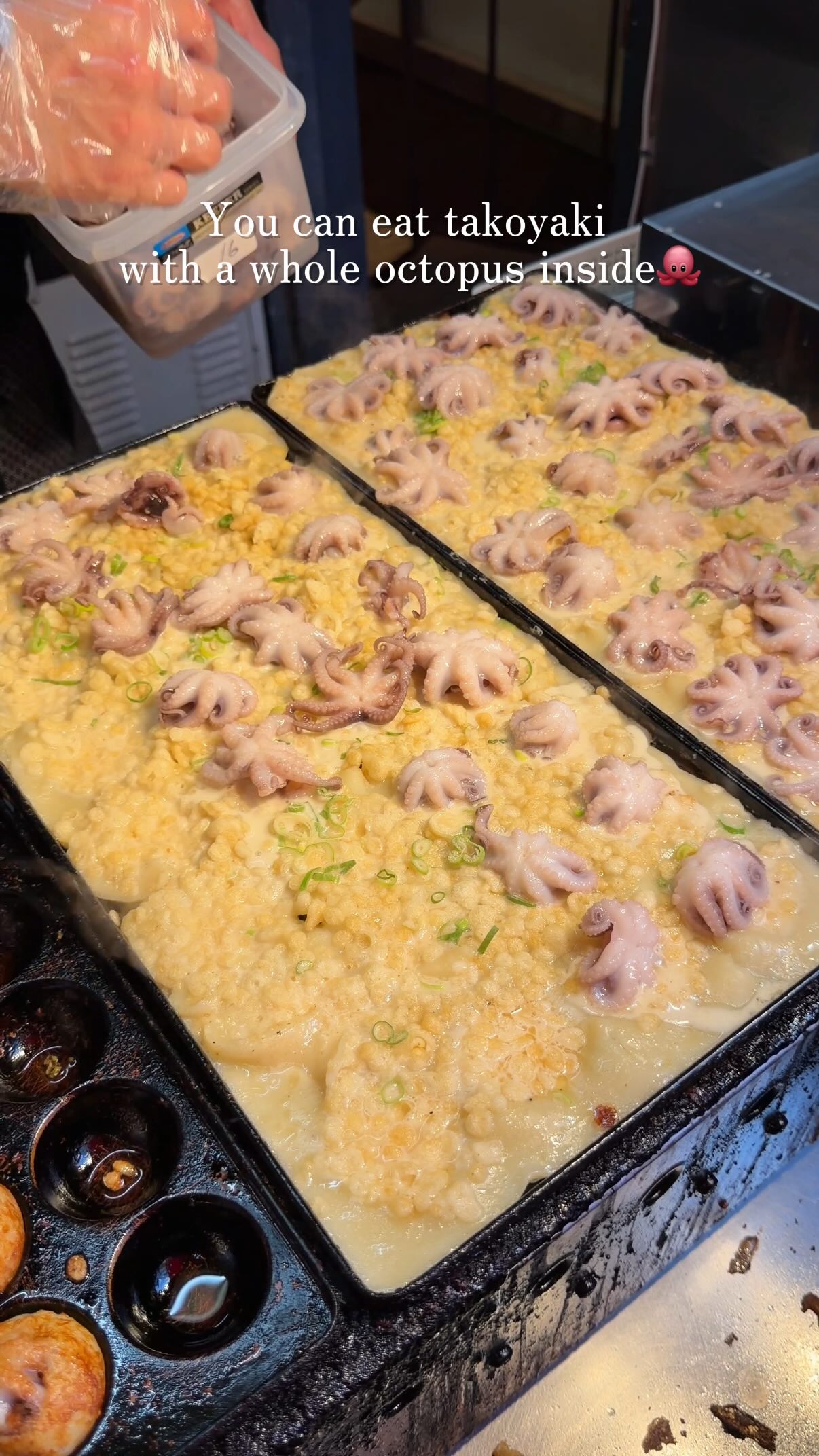 Dotonbori's Octopus Takoyaki Spot