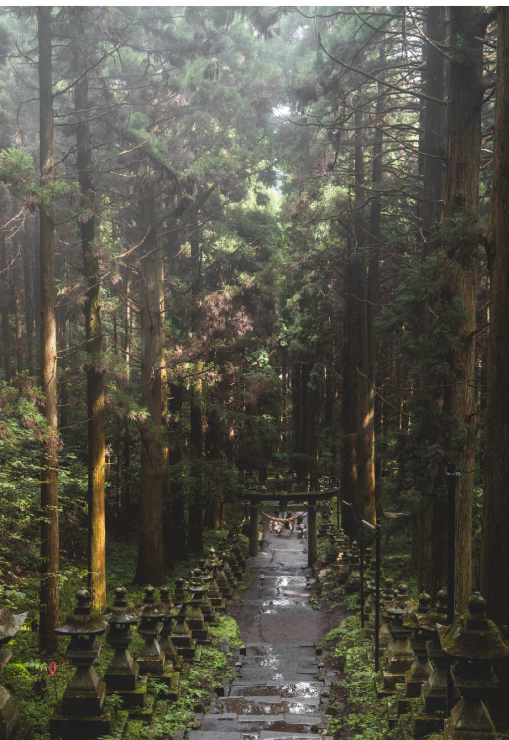 Shrines, Stations, and Scenic Journeys in Kyushu