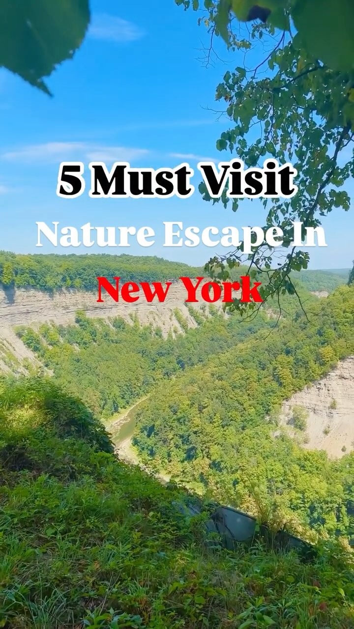 13 Attractions in New York