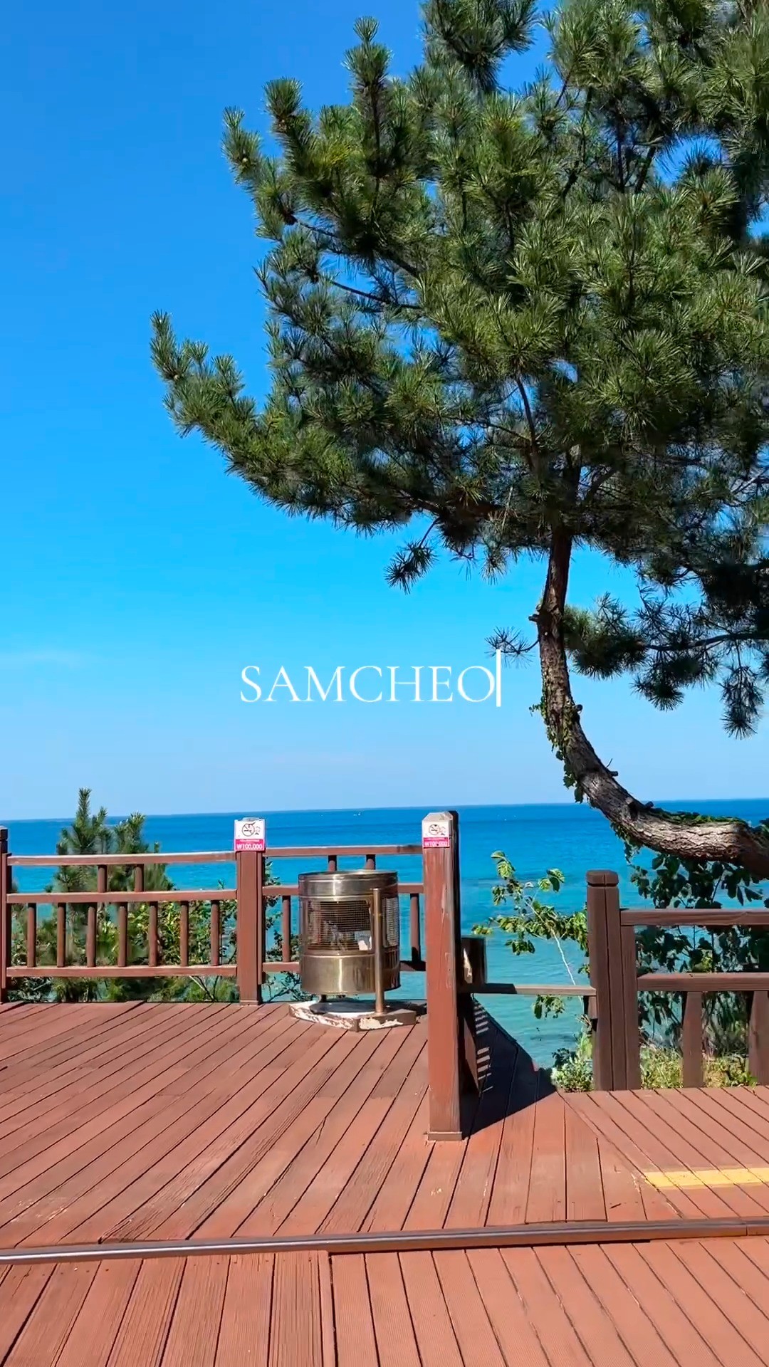 Samcheok Coastal Views And Local Cuisine