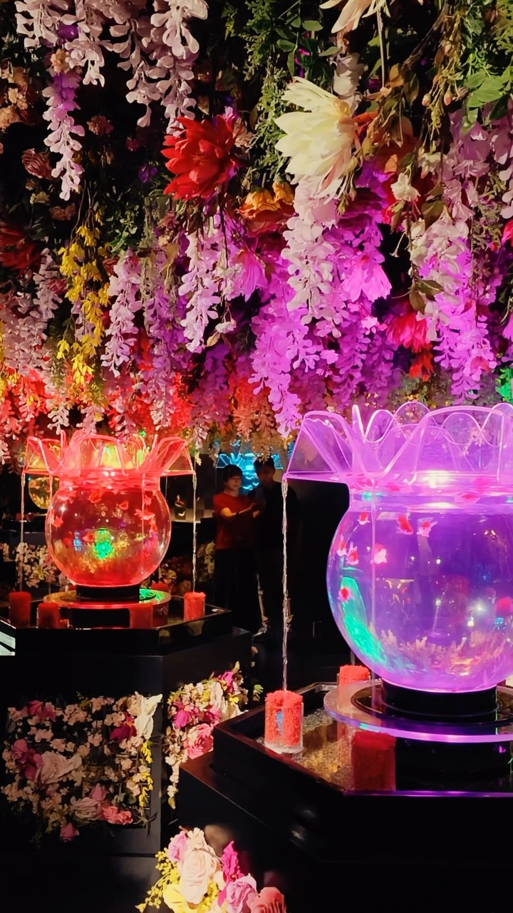 Art Aquarium Museum: A Japanese Goldfish Art Experience
