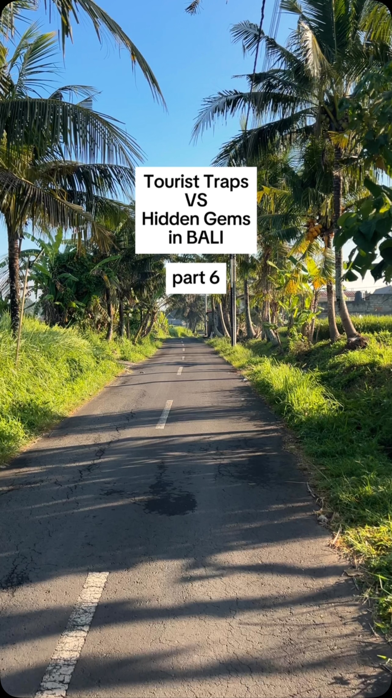Bali's Monkey Forests Compared to Hidden Gems
