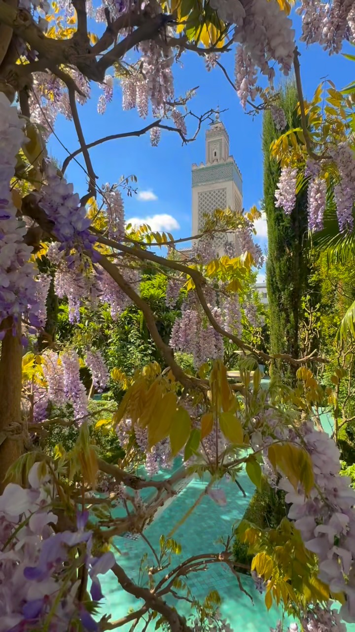 6 Places in Paris