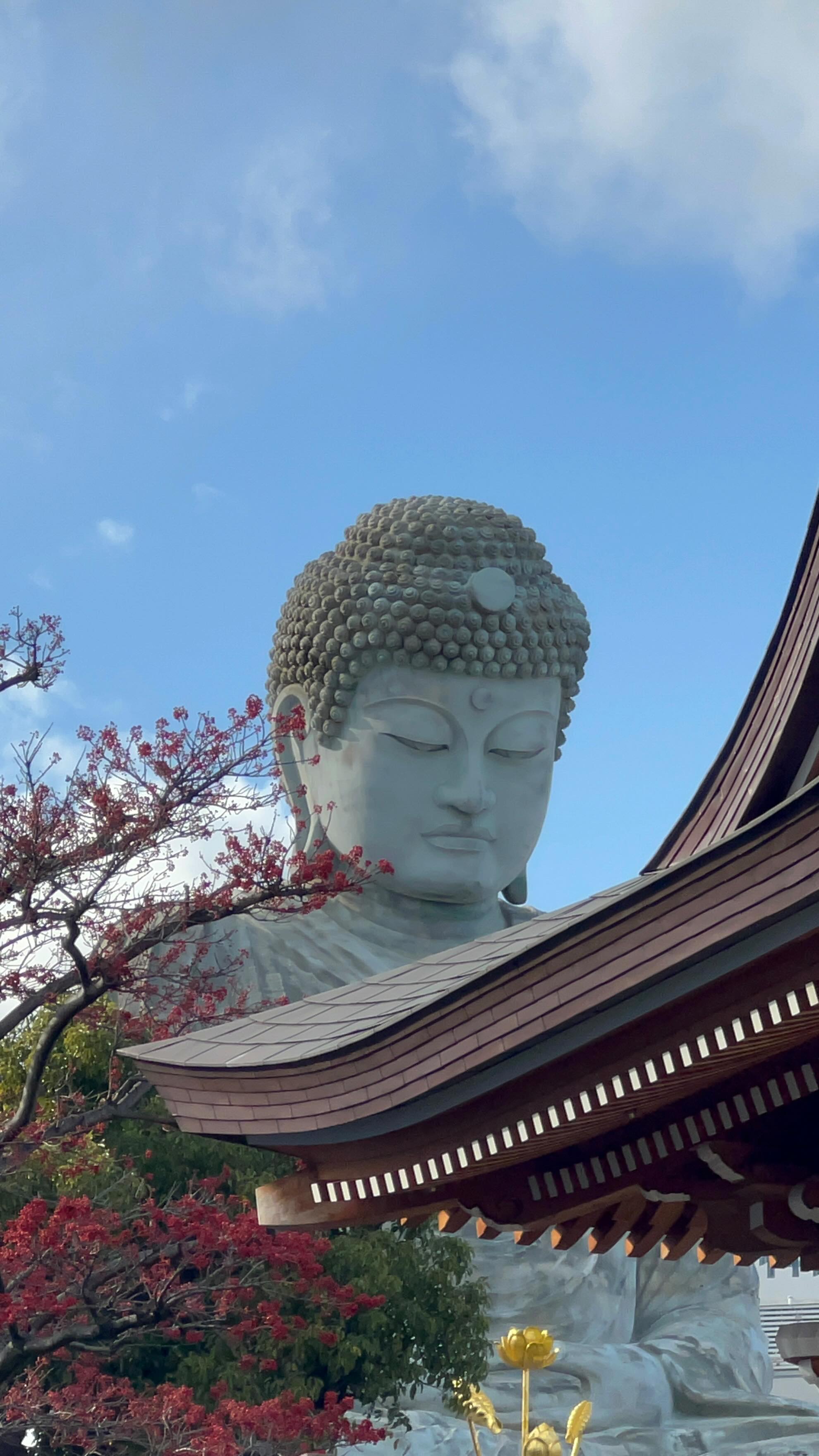 7 Attractions in Kobe