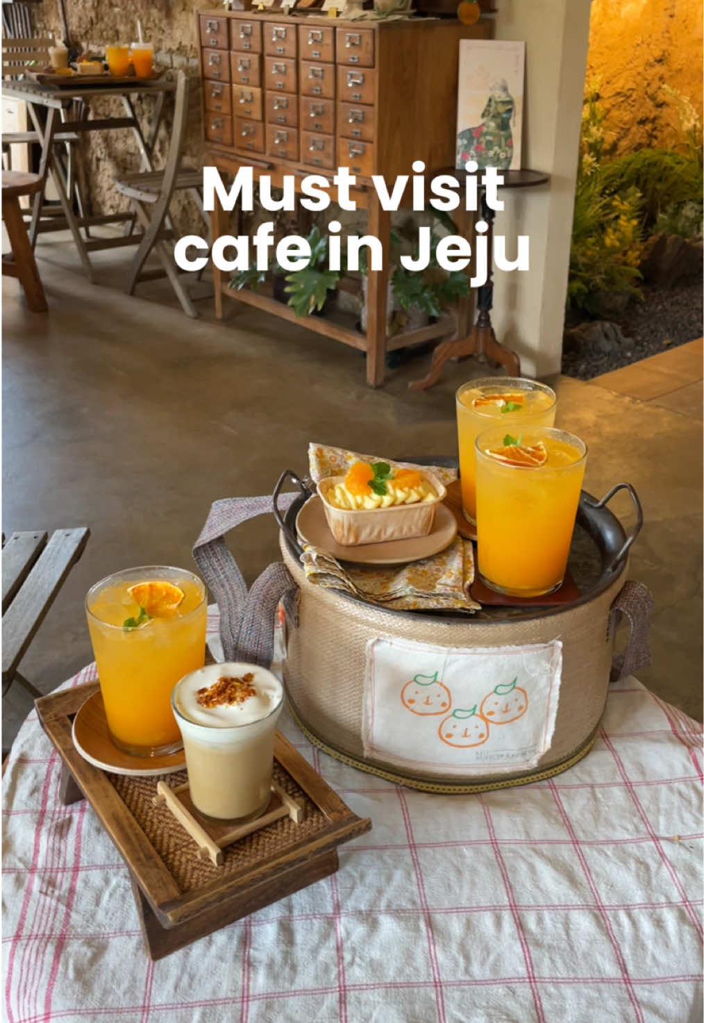 Jeju Cafe Offers Tangerine Picking and Desserts