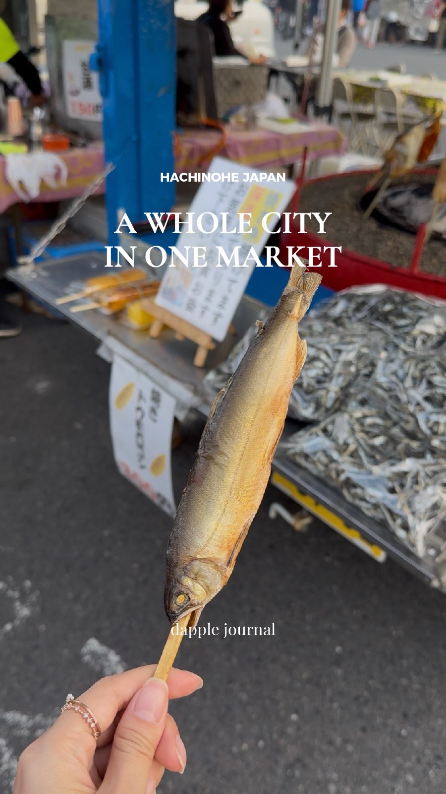 1 Markets in Hachinohe