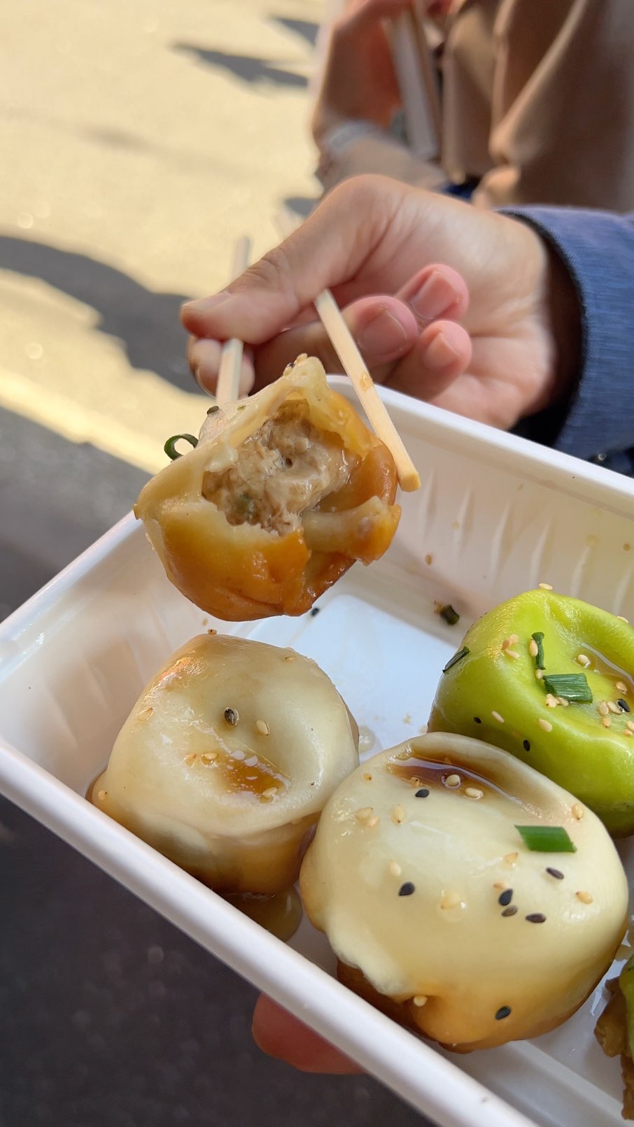 Chinatown Dumplings and Houtenkaku
