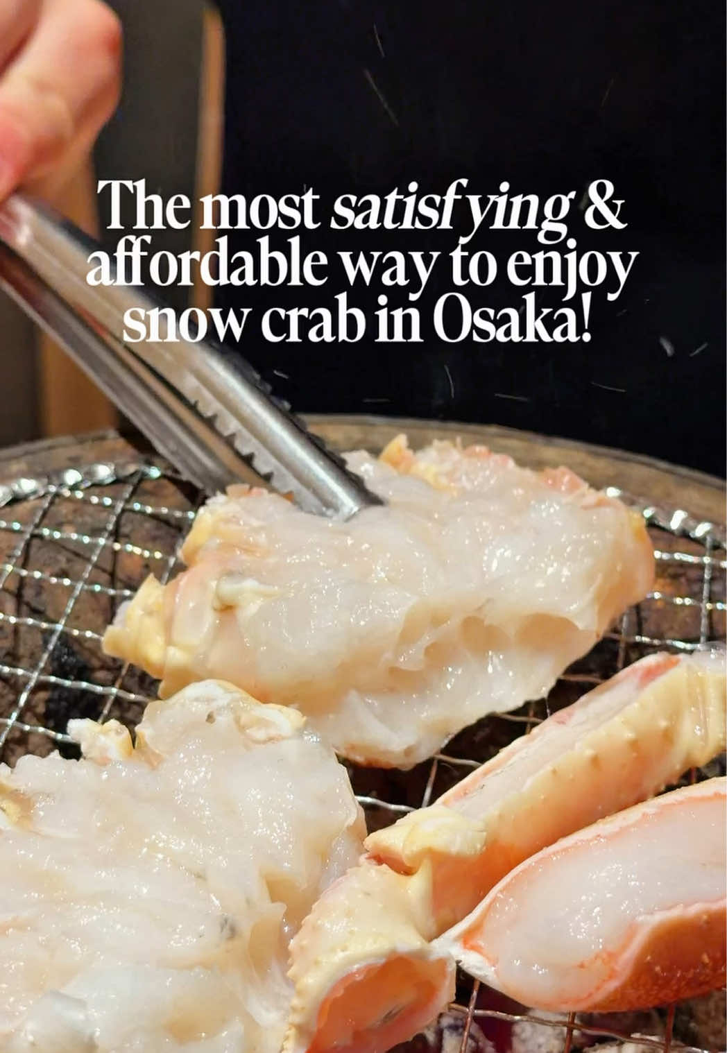 Osaka Snow Crab Feast At Kanikanijo