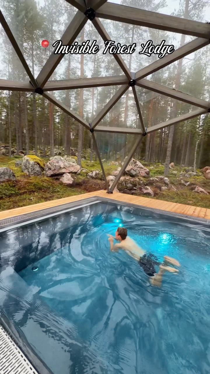Arctic Forest Lodge Offers Nordic Design And Nature Retreat