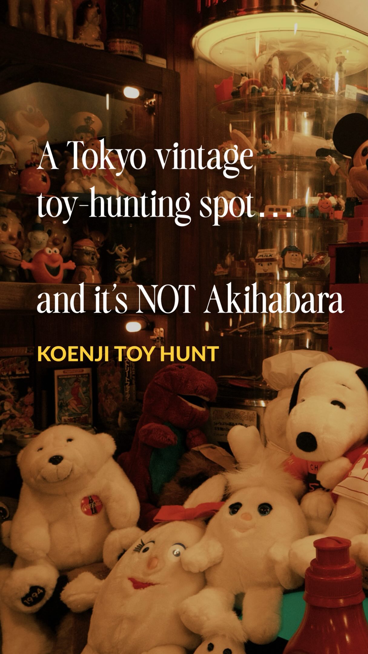 4 Shops in Suginami City