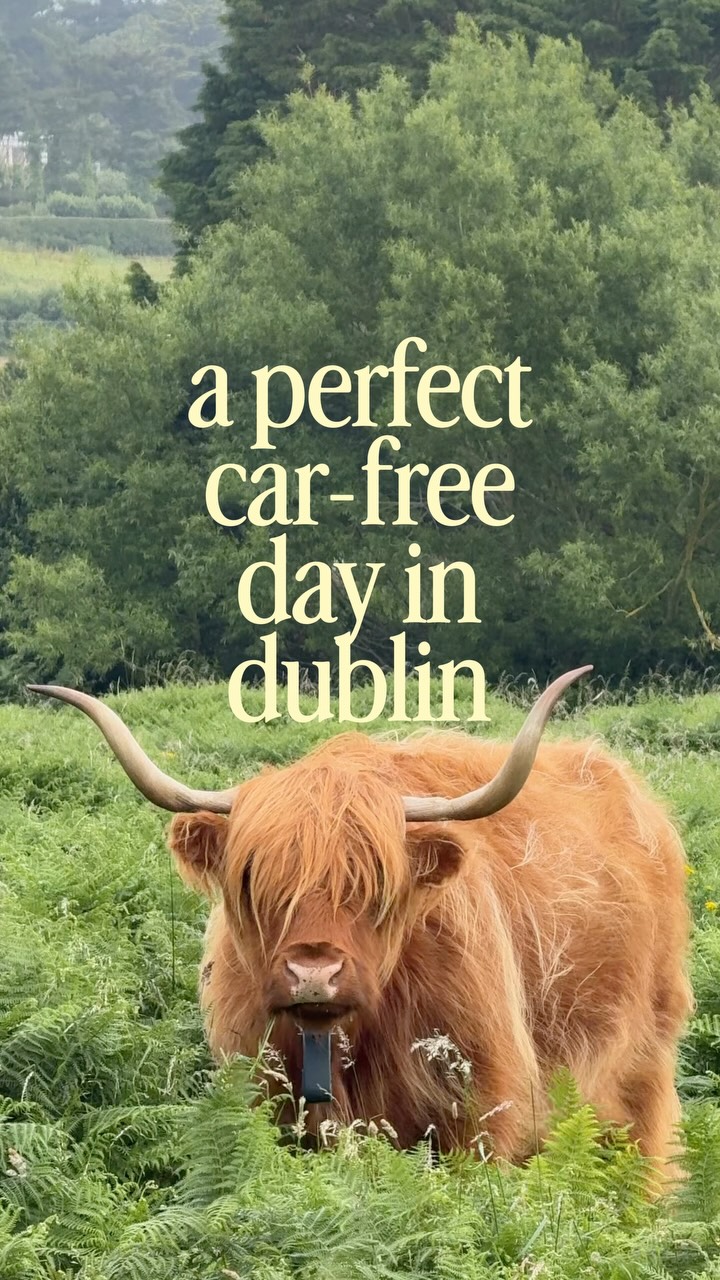 Car-Free Howth Adventures: Hike, Swim, and Dine
