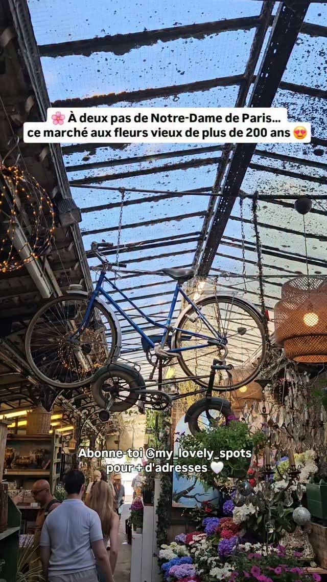Île de la Cité's Historic Flowers, Cathedrals, and Chapels