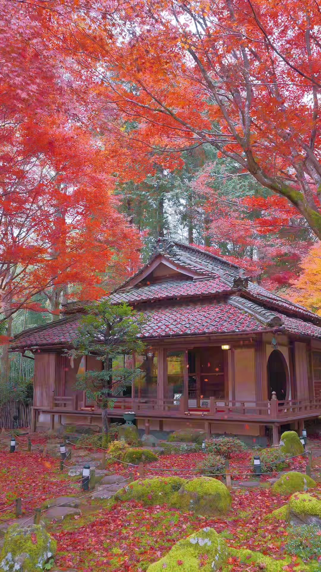 3 Places in Japan