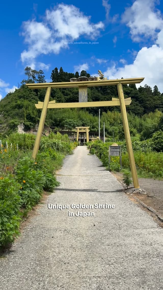 Golden Torii and Kaimondake Volcano: Wealth Power Spots