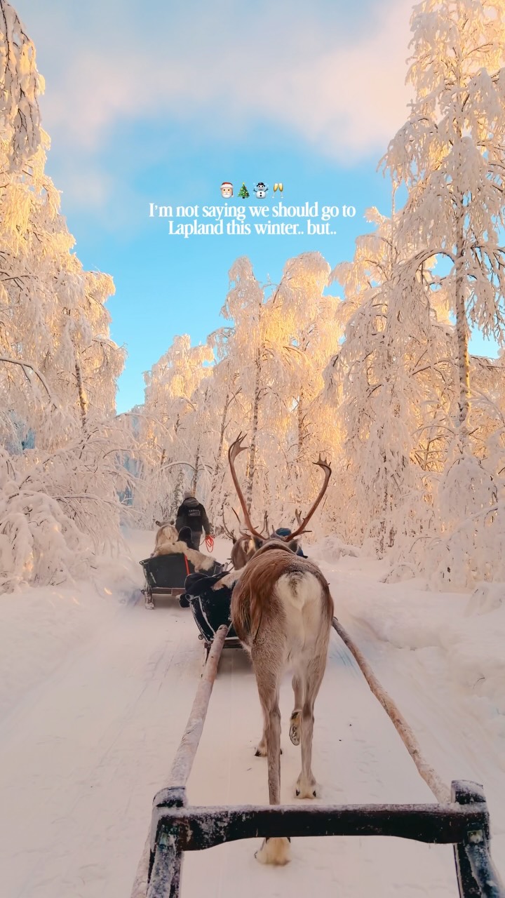 Arctic Adventures in Finnish Lapland