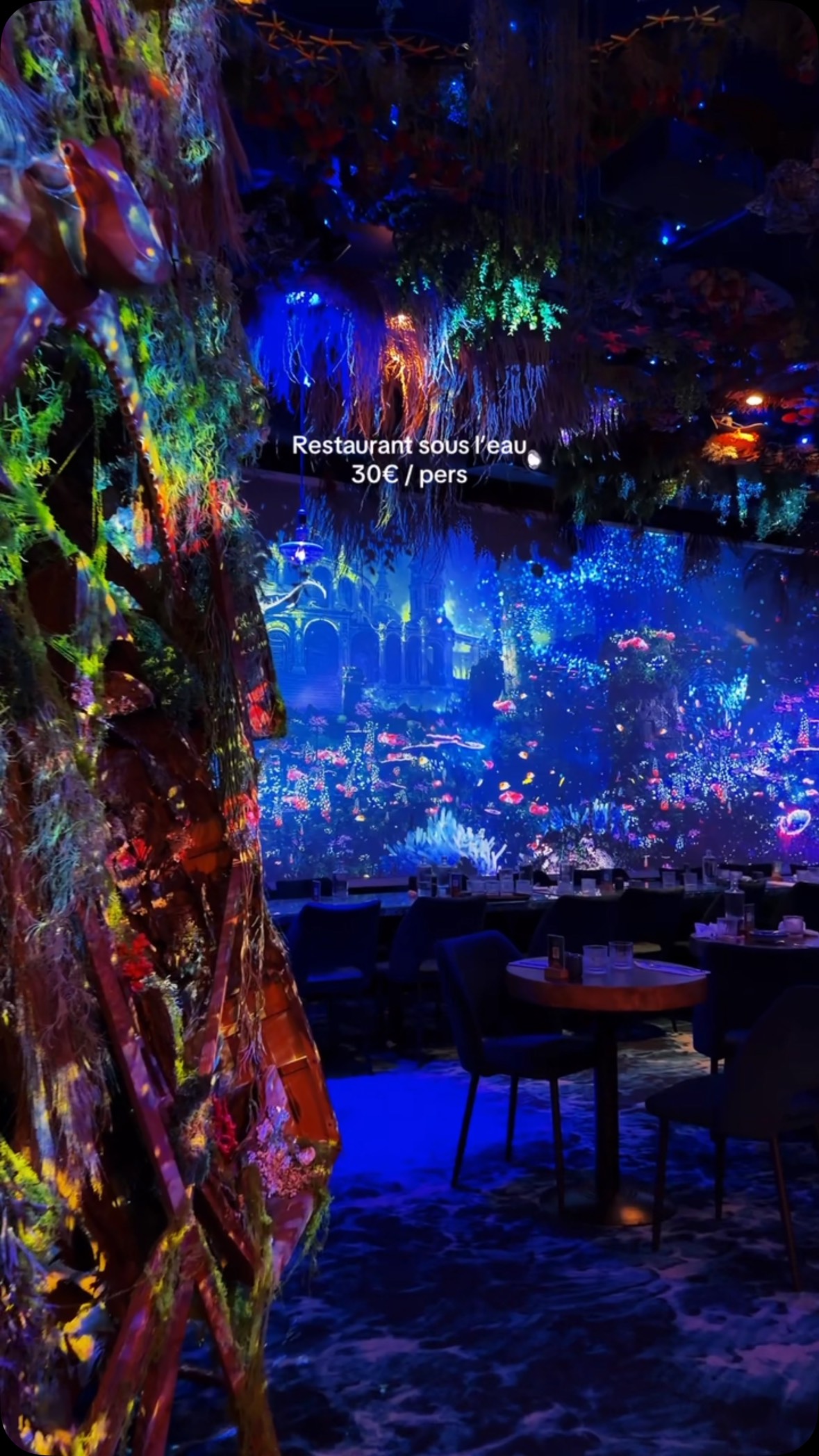 Dine Among Marine Life At This Unique Restaurant