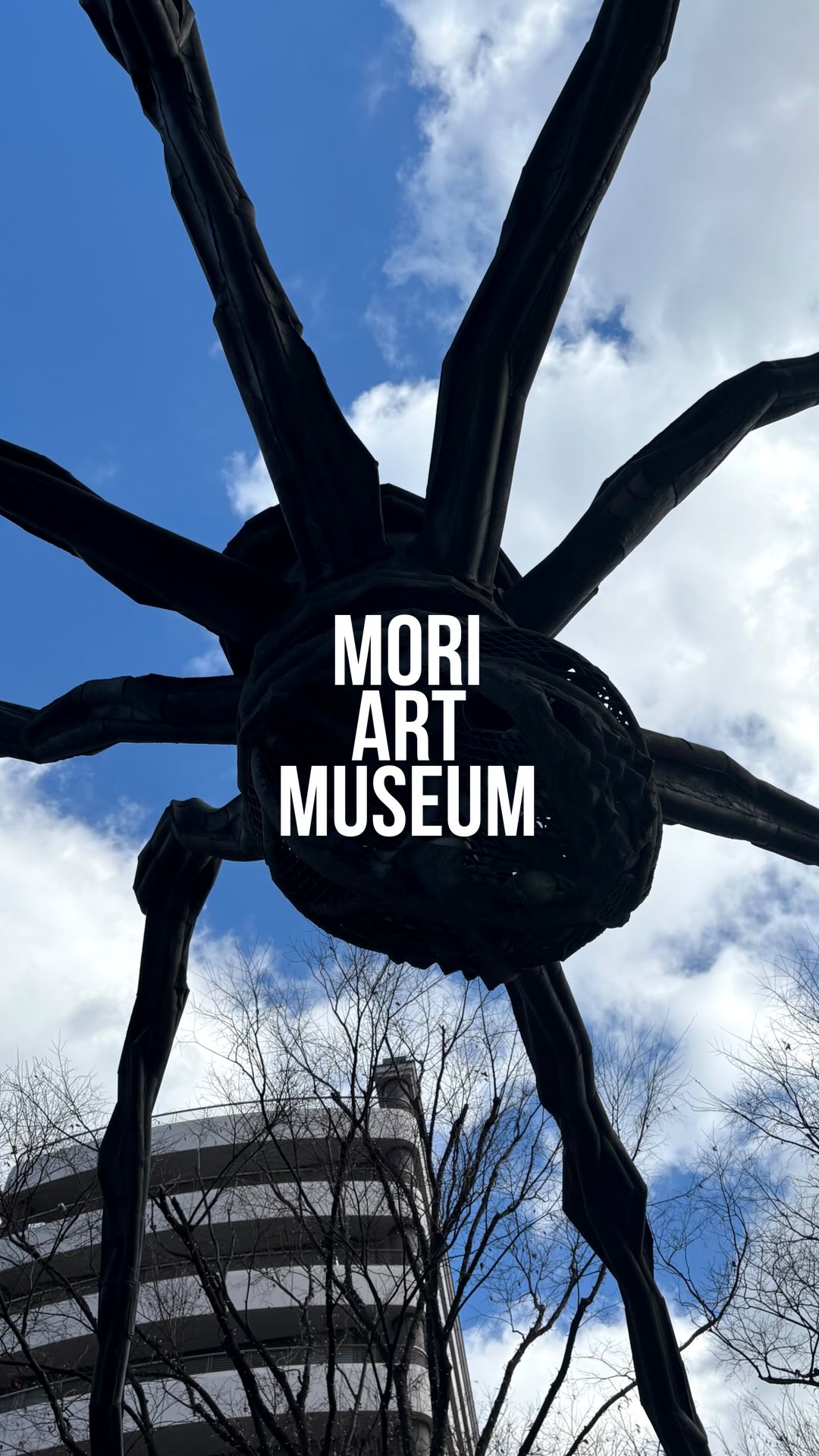 Mori Art Museum's Contemporary Exhibitions