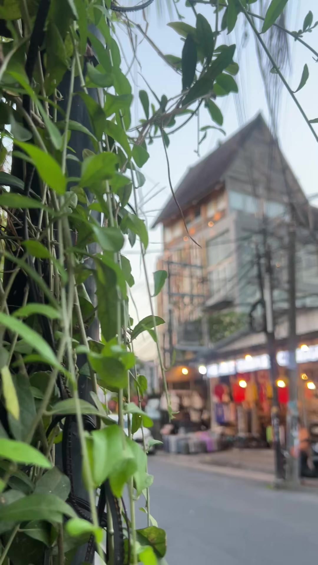 Bali Beaches and Boutique Stays