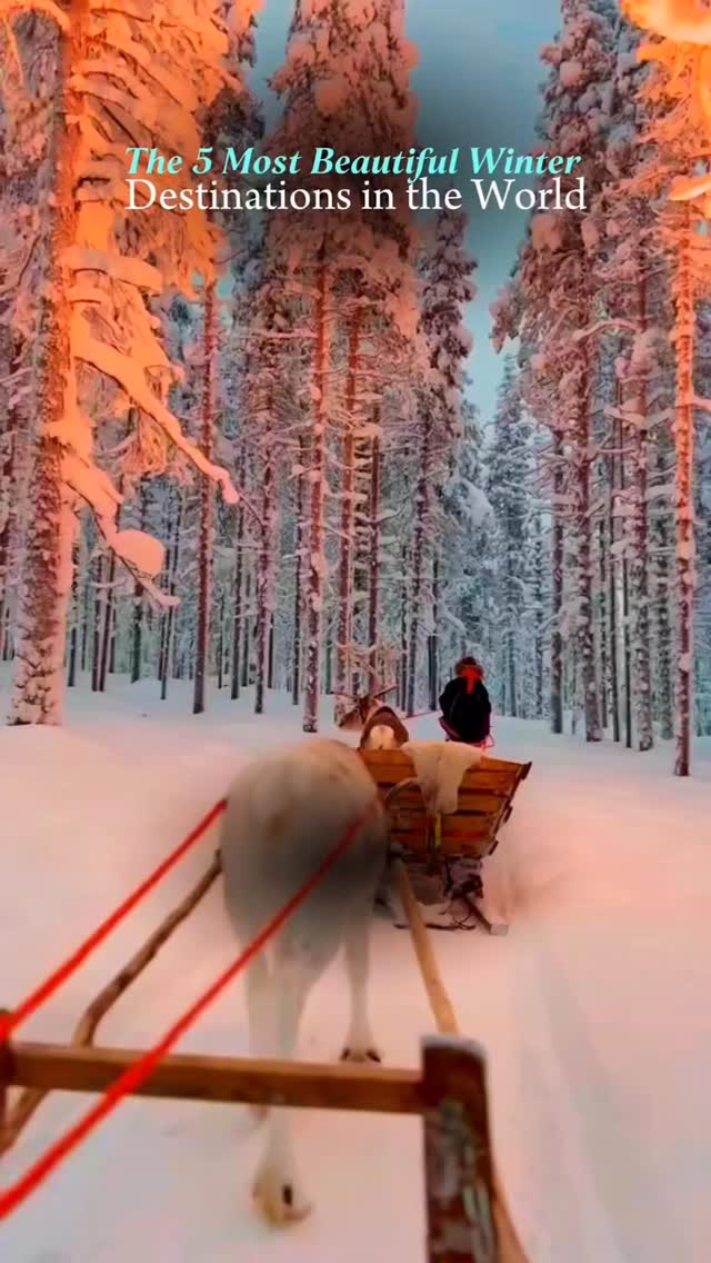 Swiss Alpine Winter Wonderland Escapes