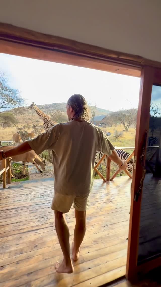 Unique Wildlife Encounters in Africa