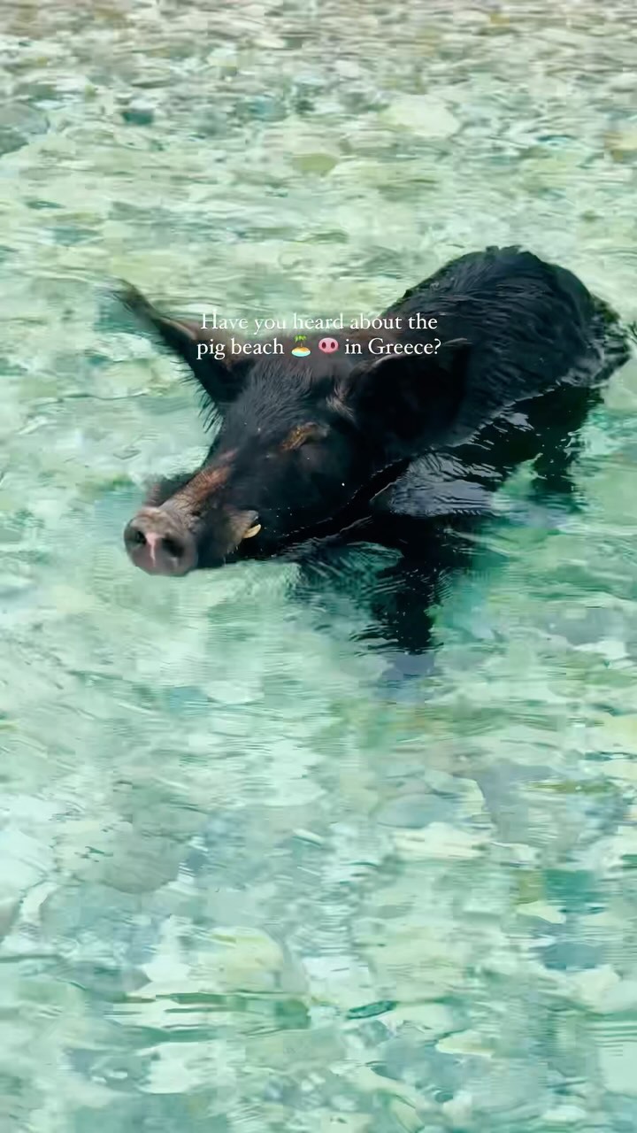 Ionian Islands: Pig Beach and Other Gems