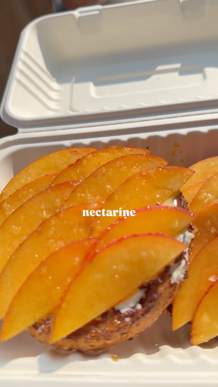 Nectarine Bagel Spotlight at Apollo Bagels