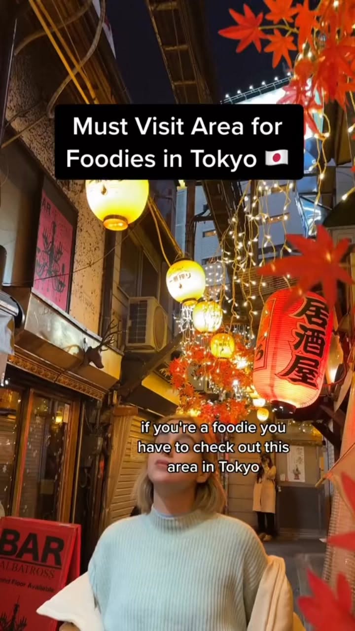 Tokyo's Omoide Yokocho Food Alley