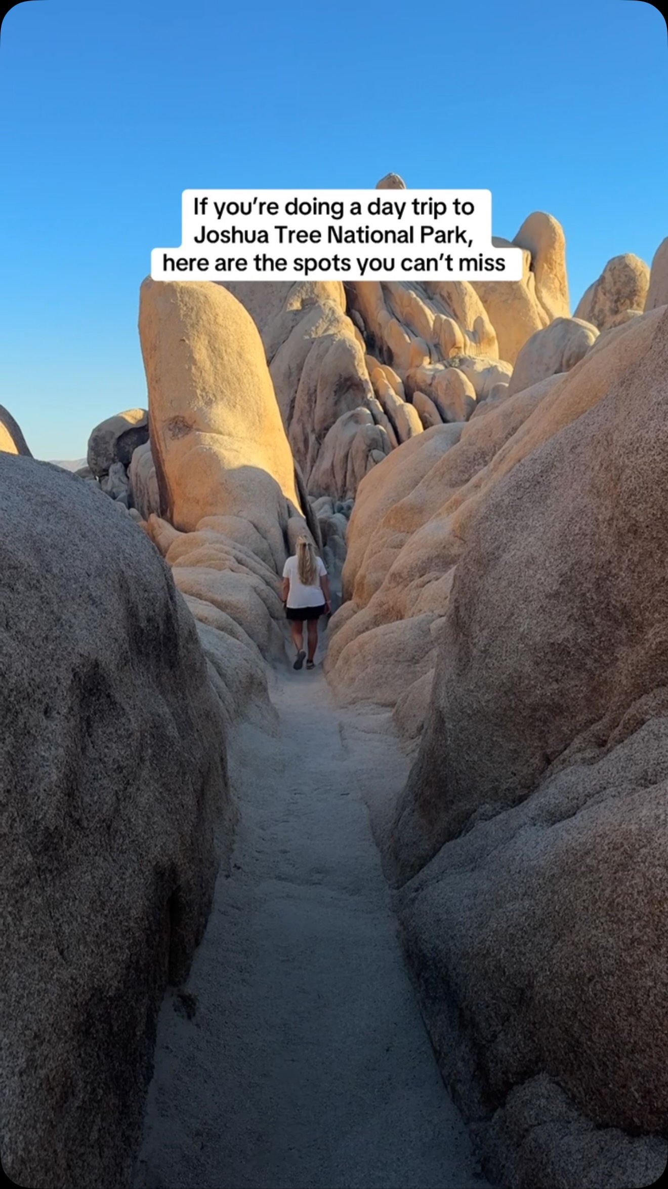 5 Attractions in Twentynine Palms