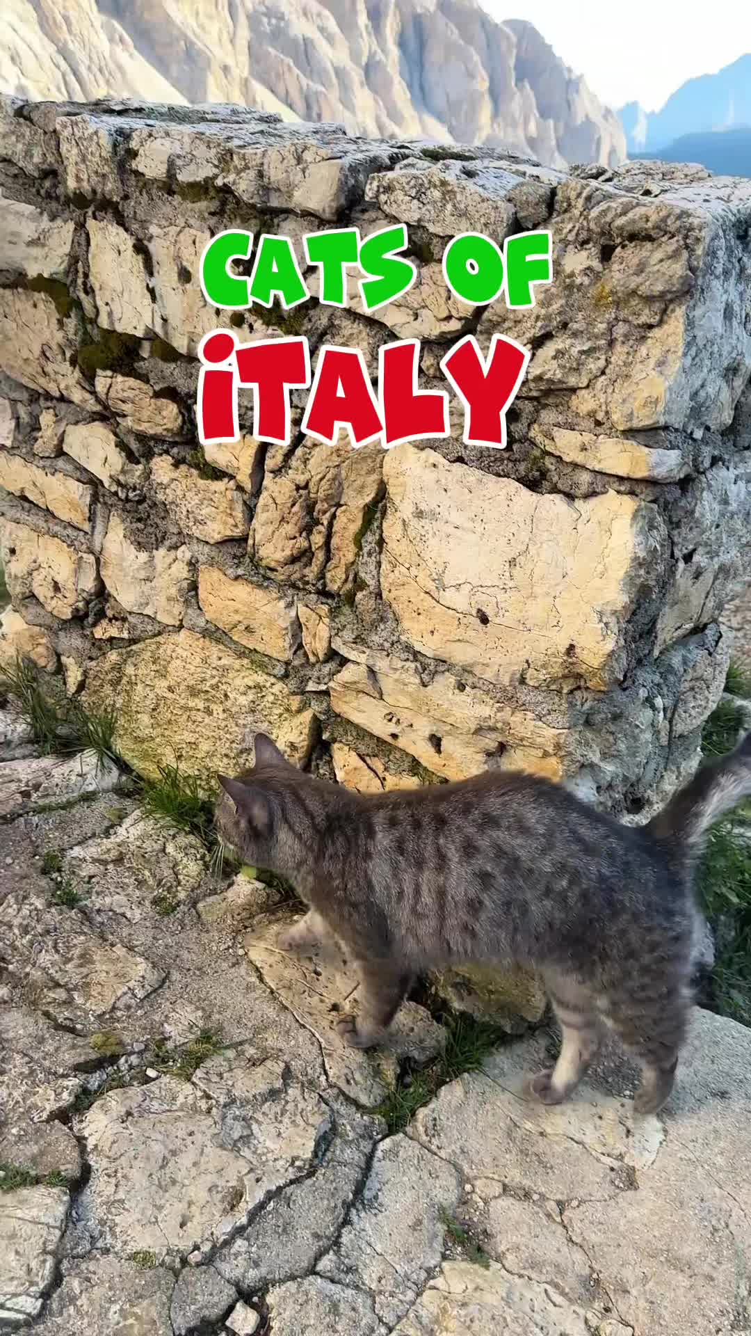 3 Attractions in Veneto