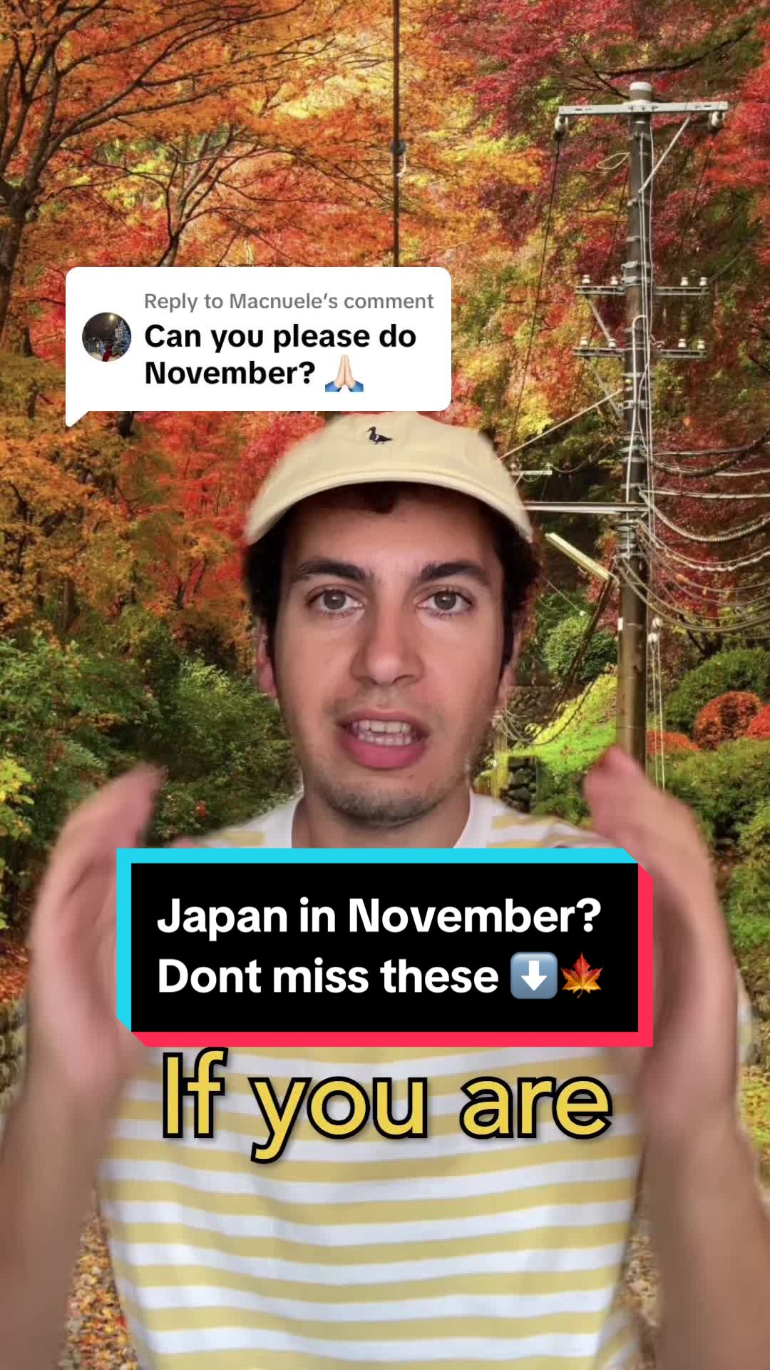 11 Places in Japan