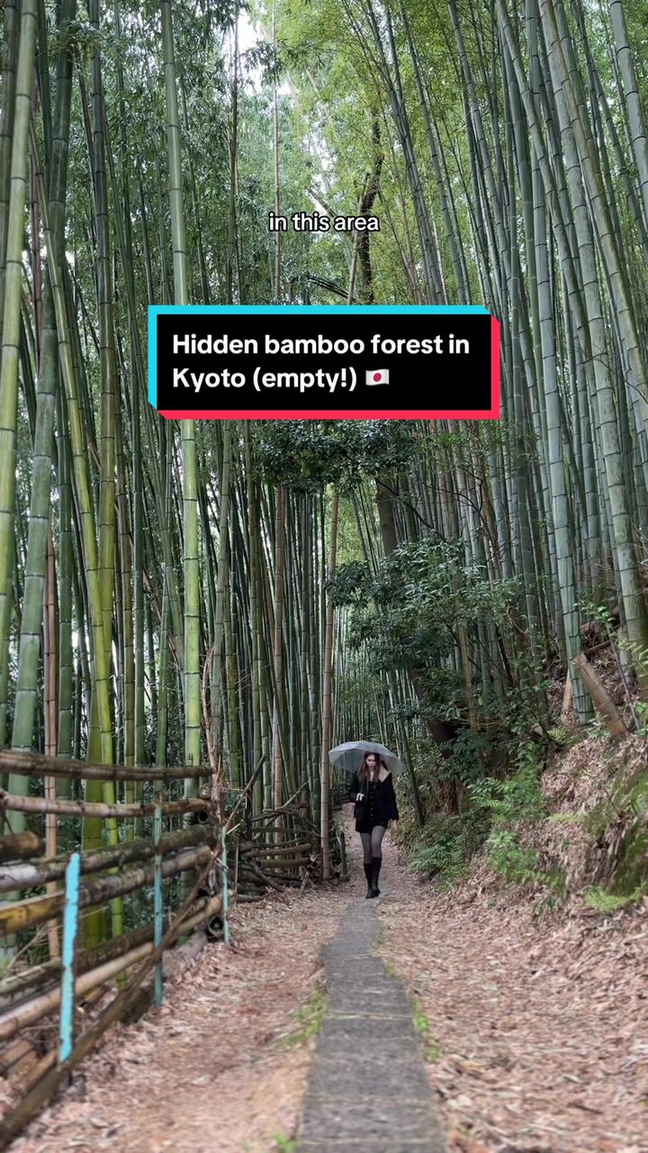 2 Attractions in Kyoto