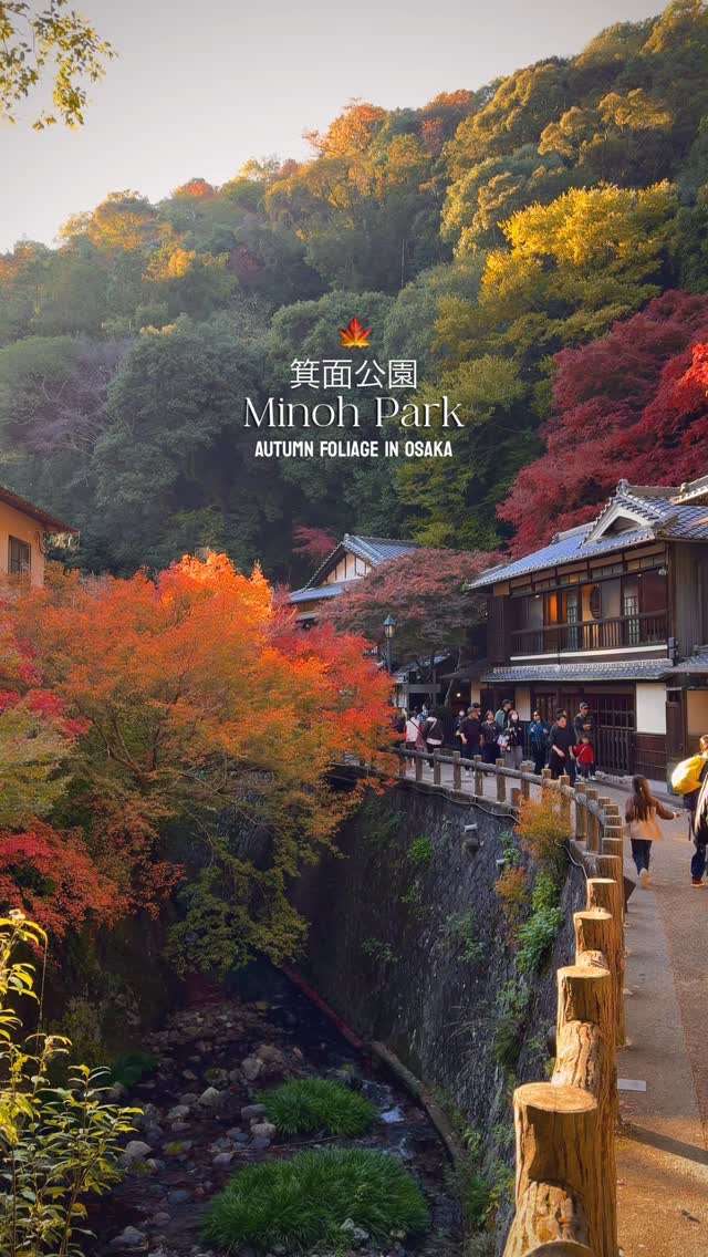 5 Places in Minoh