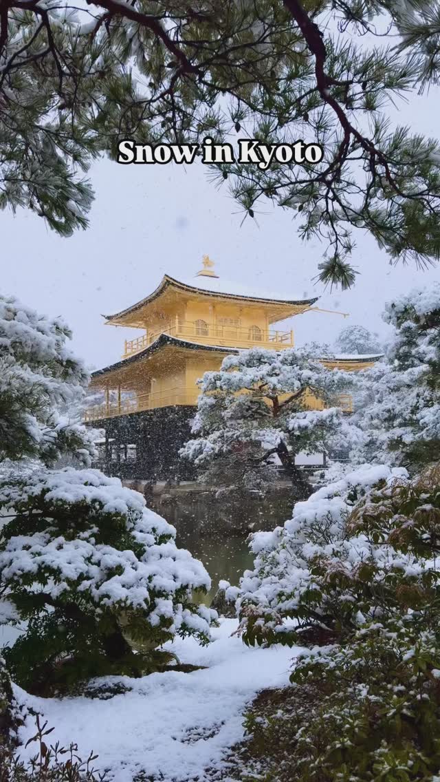 Kinkaku-ji Shines Under Kyoto Snowfall