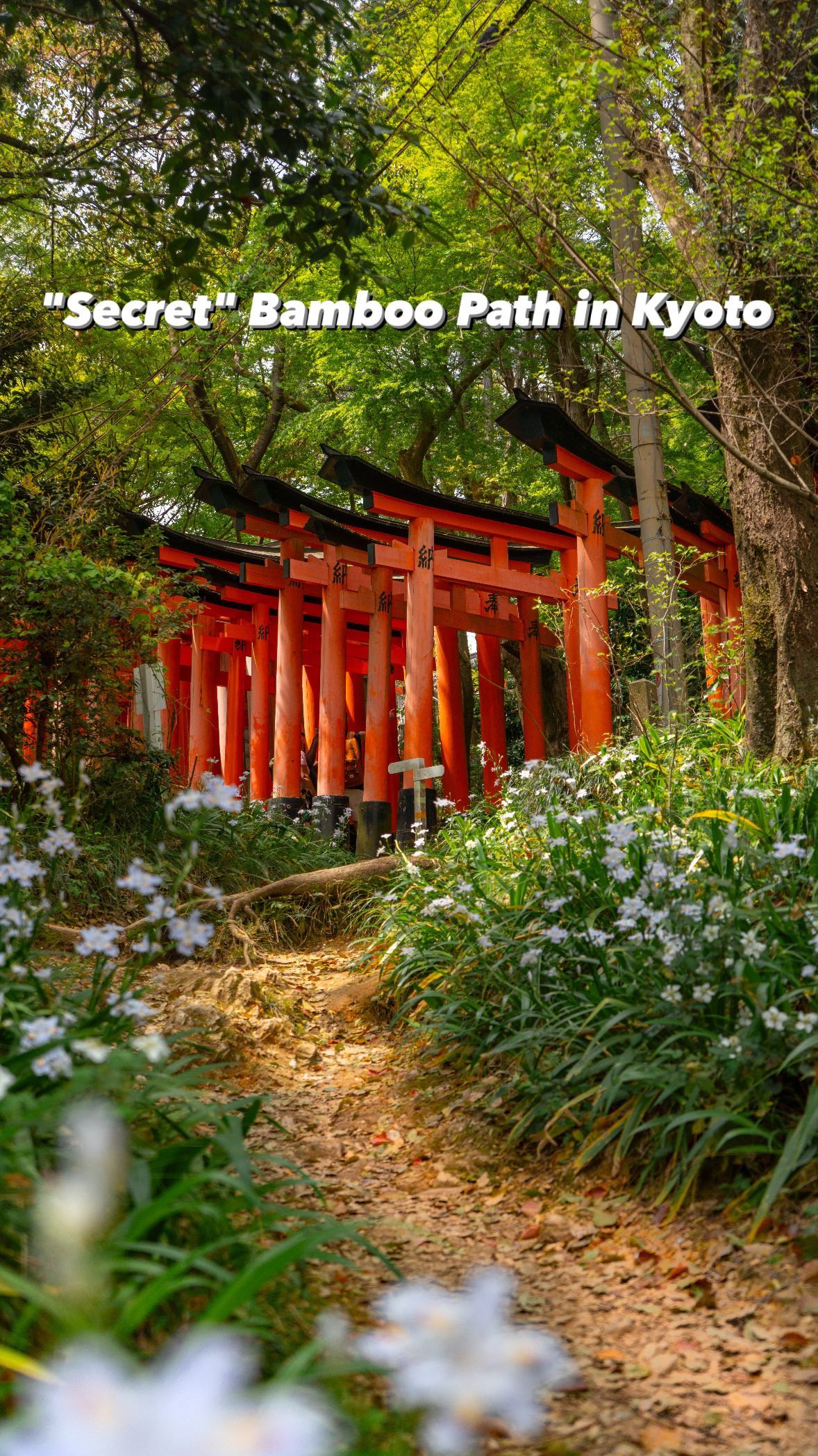 4 Attractions in Kyoto