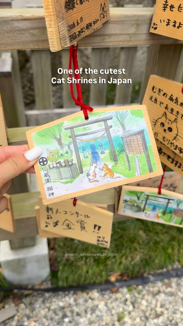3 Attractions in Kagoshima