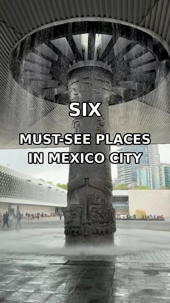 7 Attractions in Ciudad de México