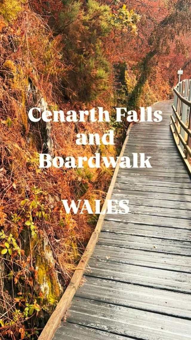 Welsh Waters, Cheese, and Holiday Park Escape