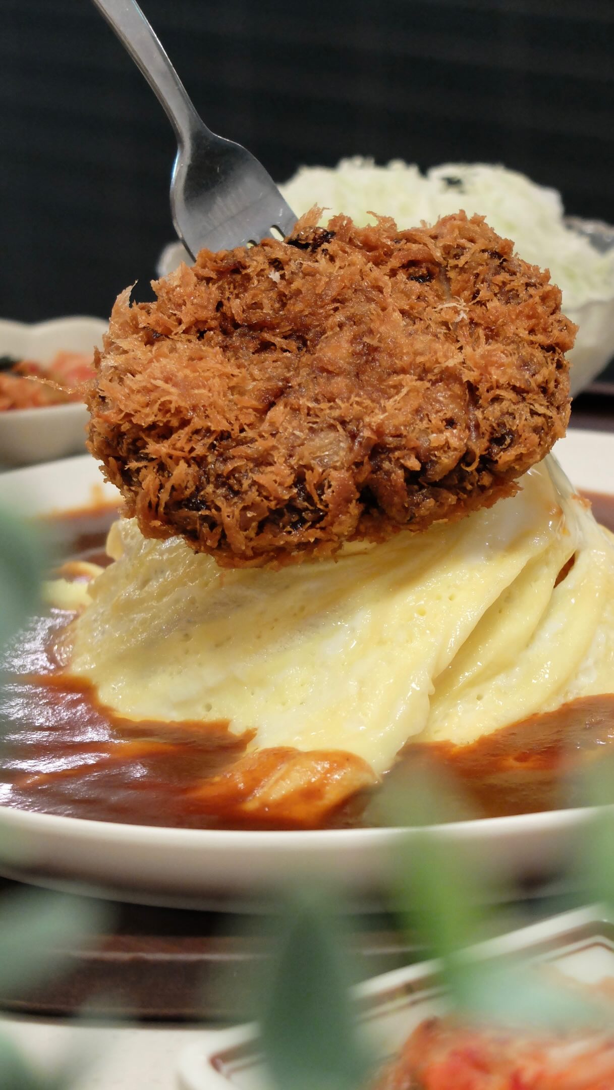 Setto Features Large Katsu Portions