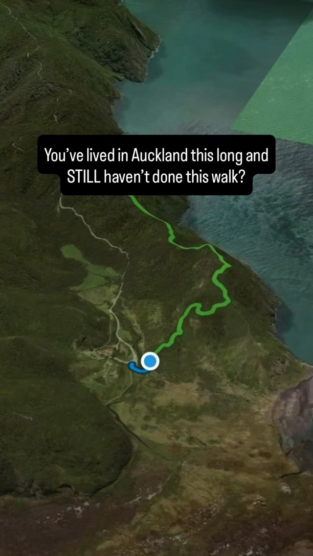Waitakere Ranges Walks Offer Stunning Views