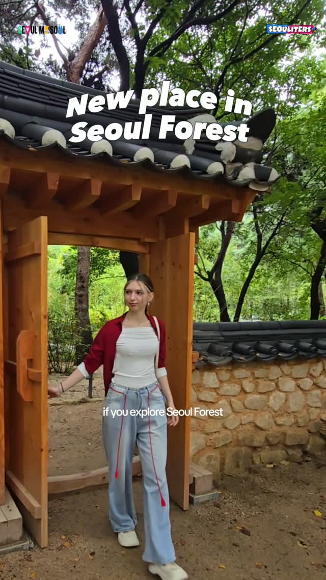 Seoul Forest Park, Lounge, and K-Beauty Shops