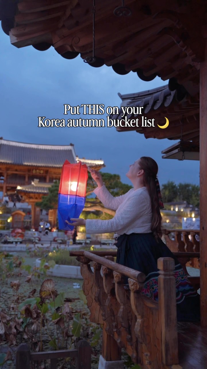 Sejong National Arboretum Nighttime Autumn Visits