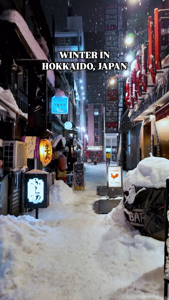 Hokkaido's Winter Wonders and Snowy Landscapes