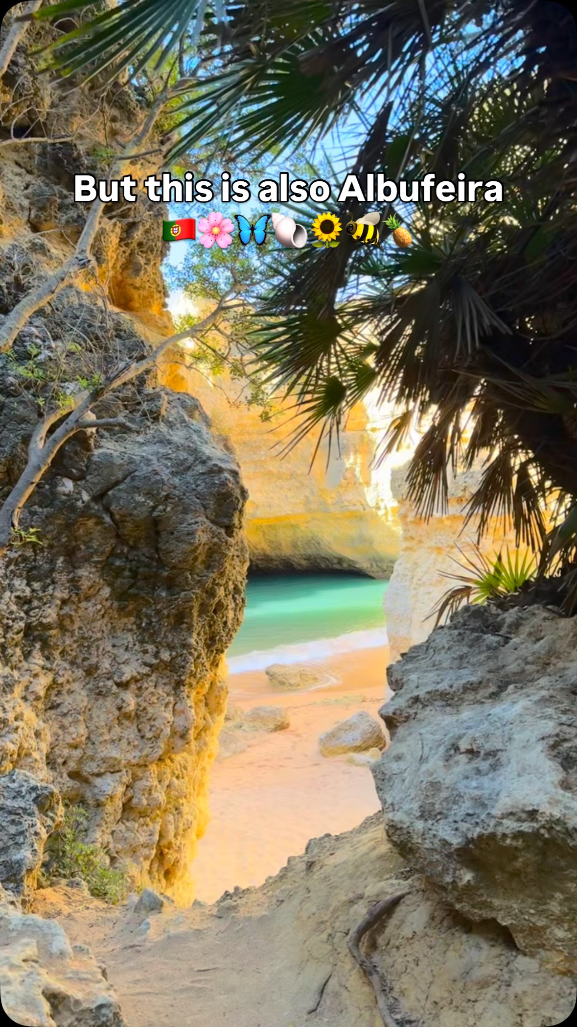 Albufeira's Hidden Beaches and Local Gems