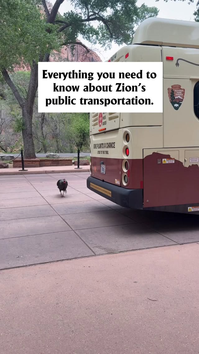 Navigating Public Transit Options in Zion National Park