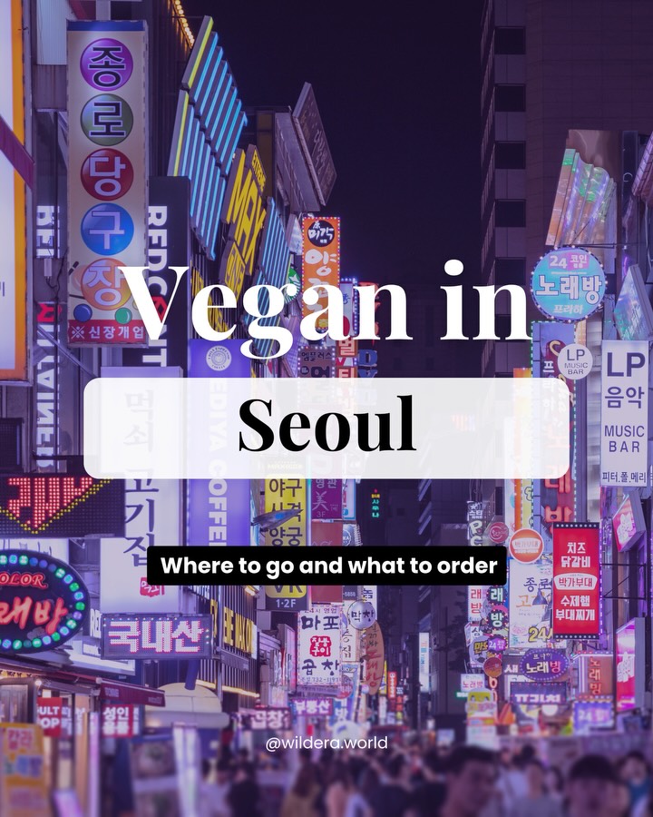 Seoul's Best Vegan Eateries and Cafes