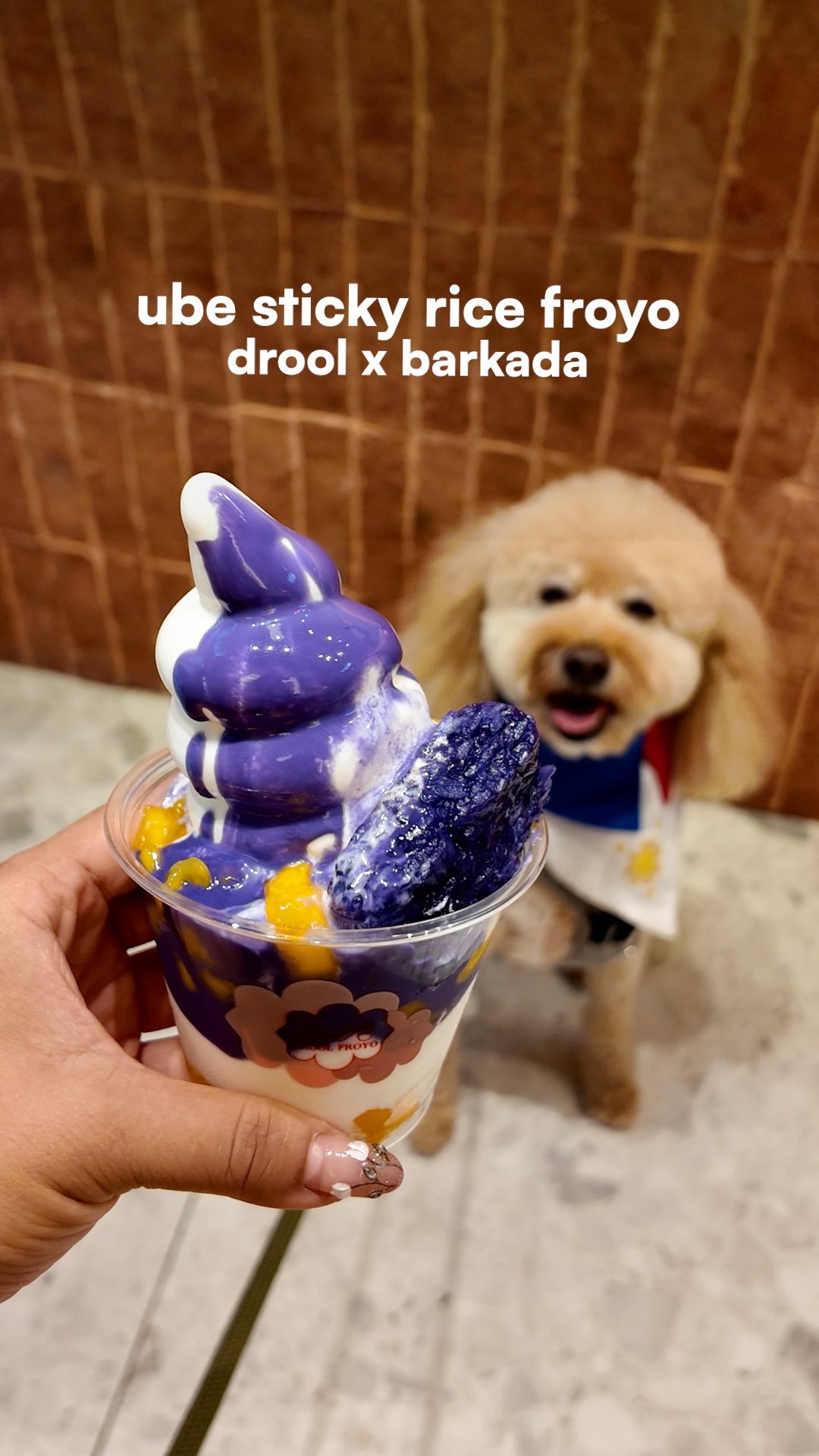 Ube Sticky Rice Froyo Collaboration
